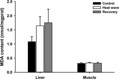 Frontiers | Effects of Simulated Heat Wave on Oxidative Physiology 